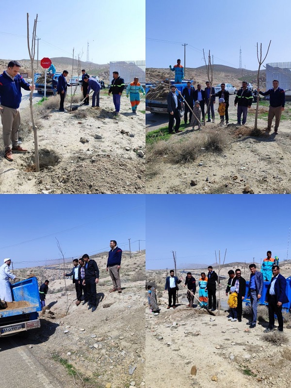 درختکاری دراطراف  پارک گردشگری غارمزداوند