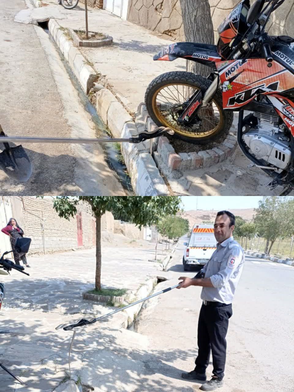 مارگیری توسط عوامل ایمنی و آتش نشانی شهرداری مزداوند داخل شهر و انتقال به حیاط وحش